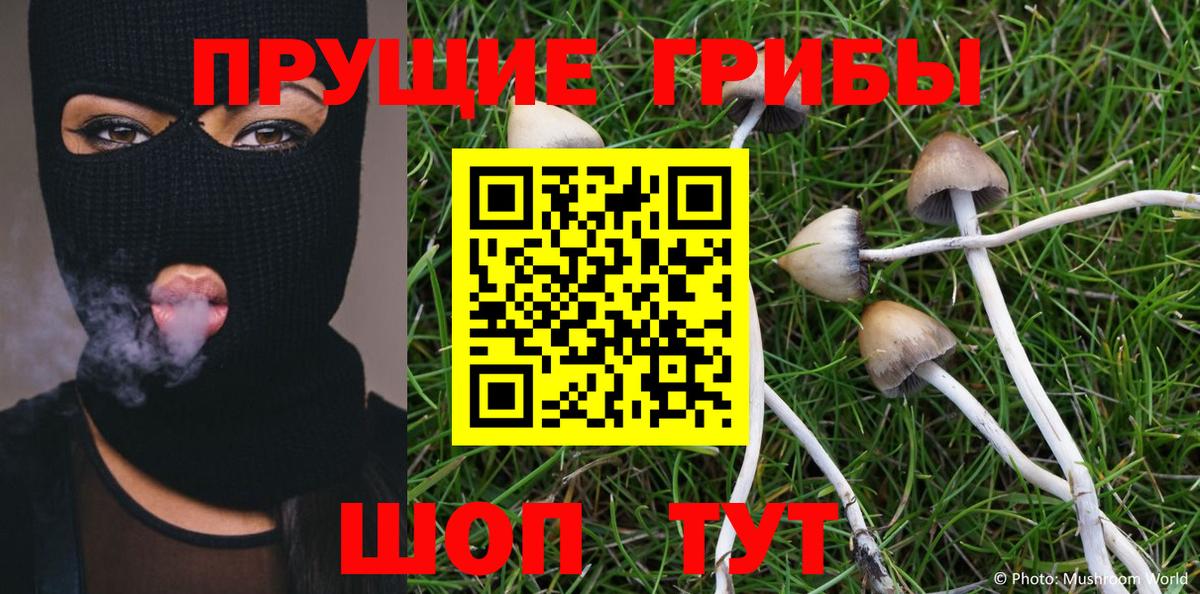 Карталы  Галлюциногенные грибы MAGIC MUSHROOMS  Вход с VPN  Галлюциногенные грибы Psilocybine cubensis 